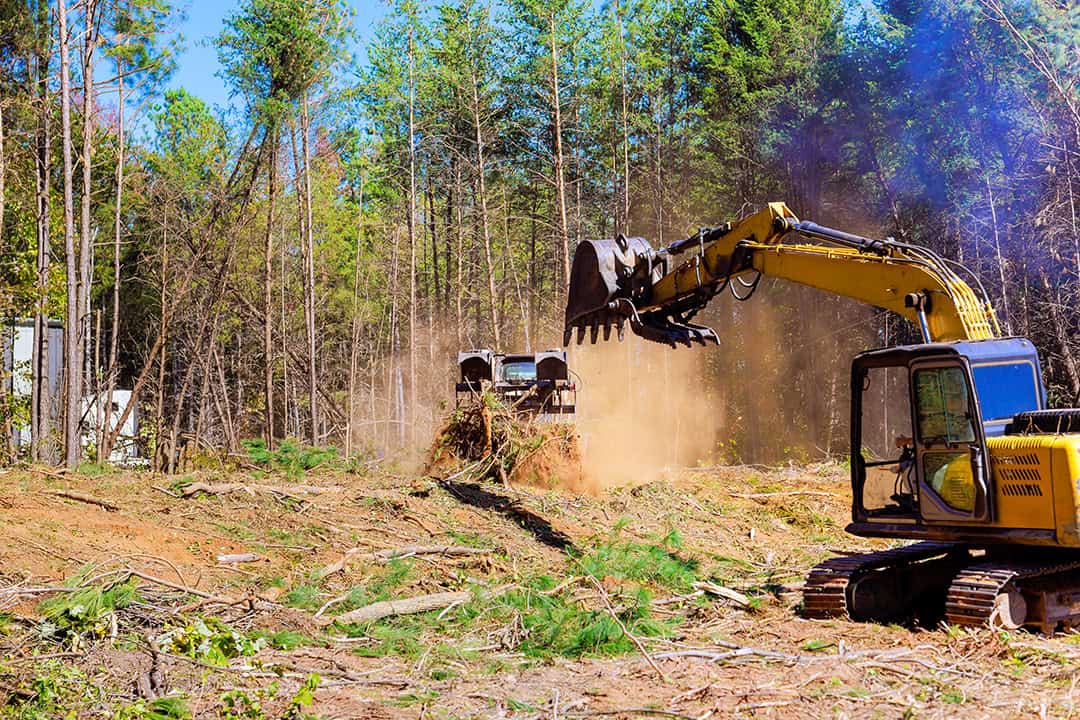 Land Clearing and Site Preparation